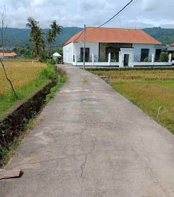 dijual tanah lovina sentral