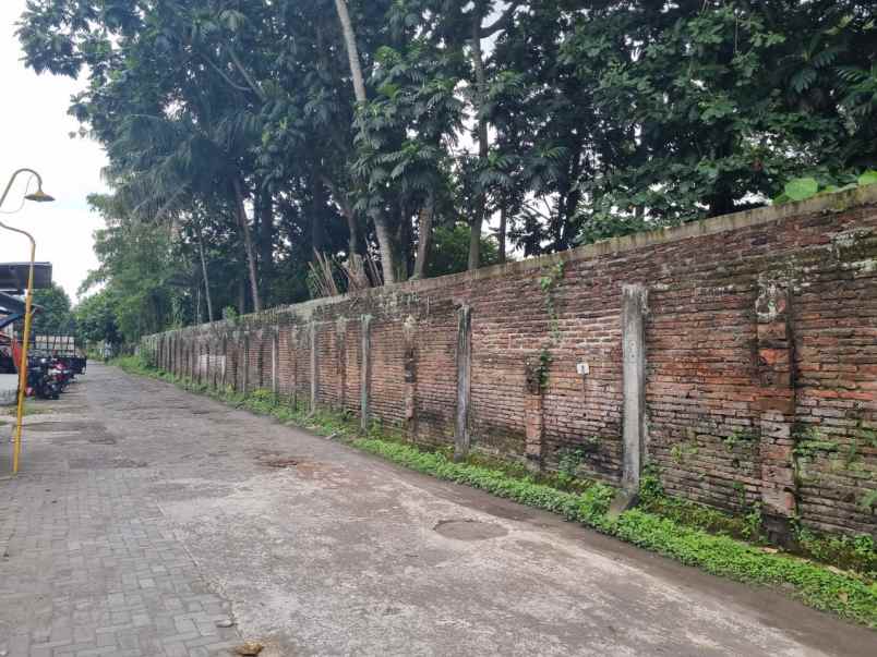 dijual tanah luas dekat ugm cocok untuk bisnis