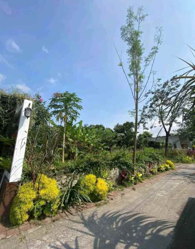 dijual tanah mlati