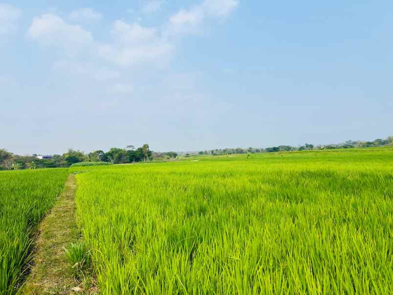 dijual tanah mojogedang karanganyar