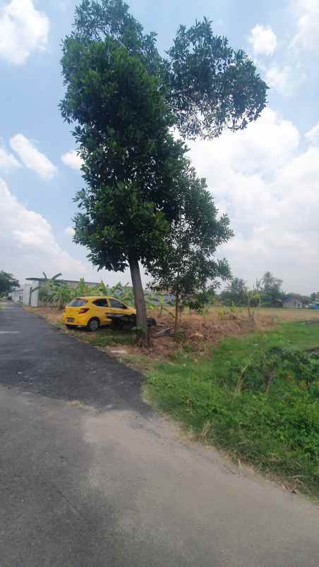 dijual tanah murah bandar lampung rajabasa jaya