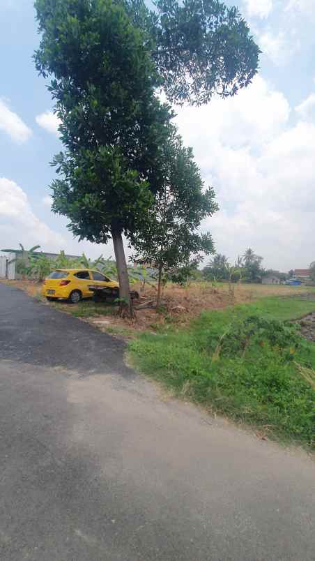 dijual tanah murah bandar lampung rajabasa jaya