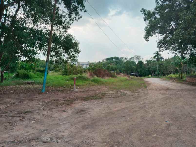 dijual tanah murah siap bangun lokasi tl buruk km 7