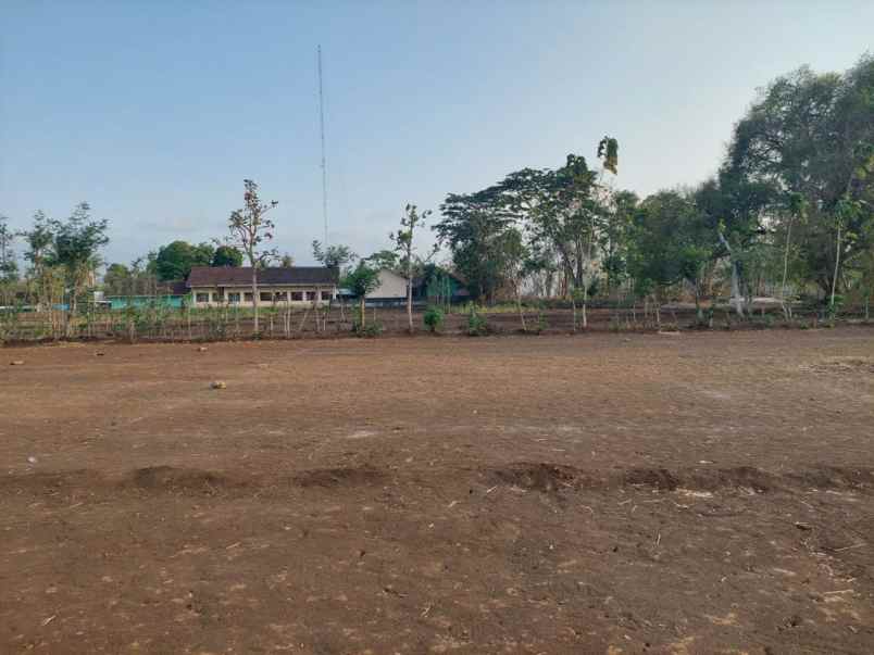 dijual tanah pacarejo semanu gunung