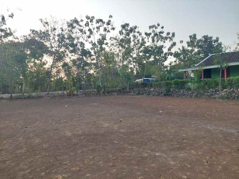 dijual tanah pacarejo semanu gunung