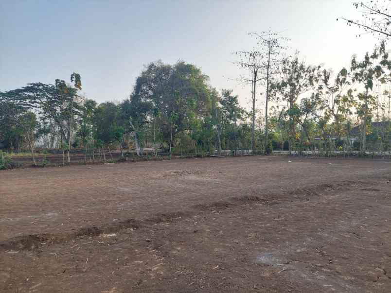 dijual tanah pacarejo semanu gunung