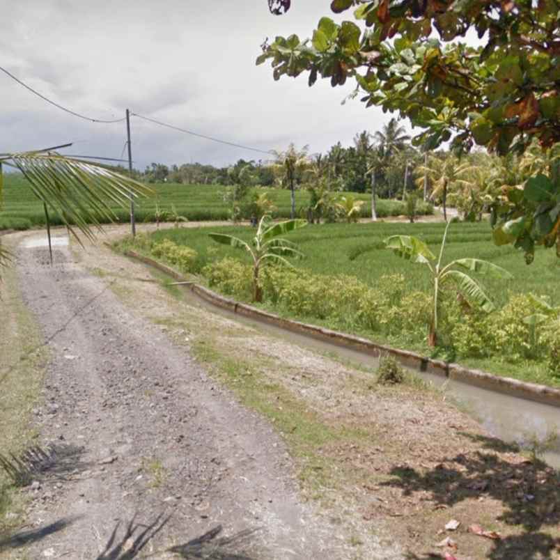 dijual tanah pantai abian kapas