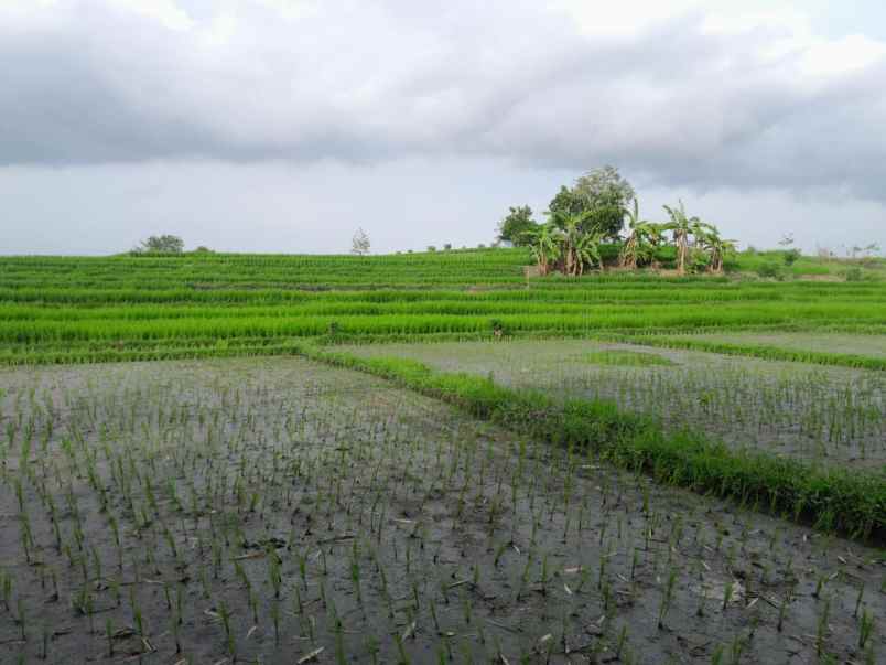 dijual tanah pantai abian kapas