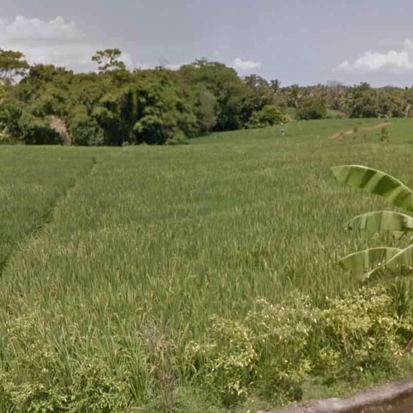 dijual tanah pantai abian kapas