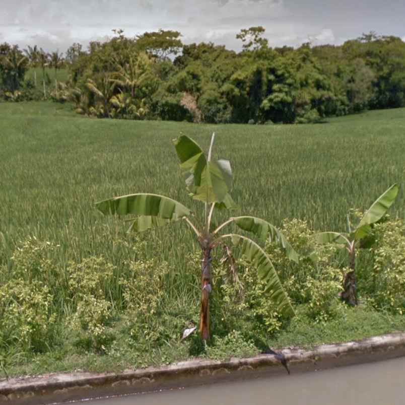 dijual tanah pantai abian kapas