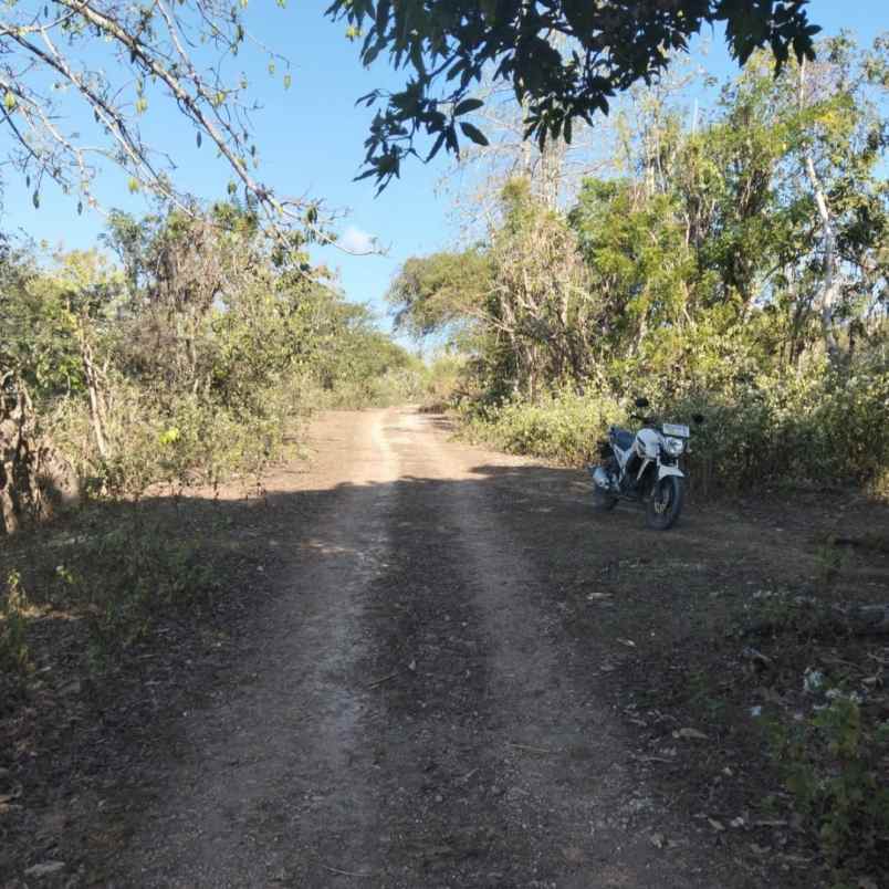 dijual tanah pantai batu layah balangan