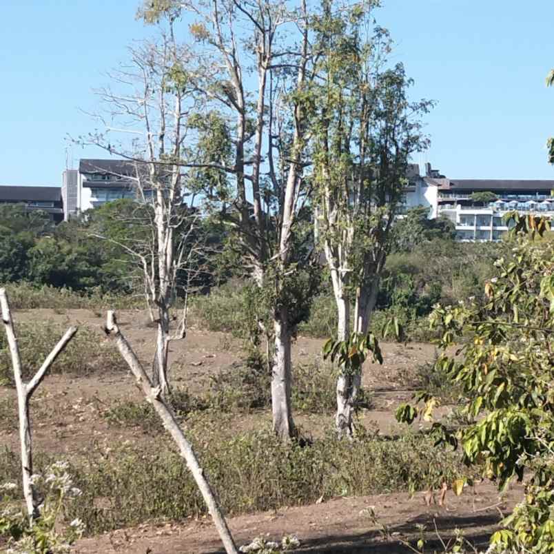 dijual tanah pantai batu layah balangan