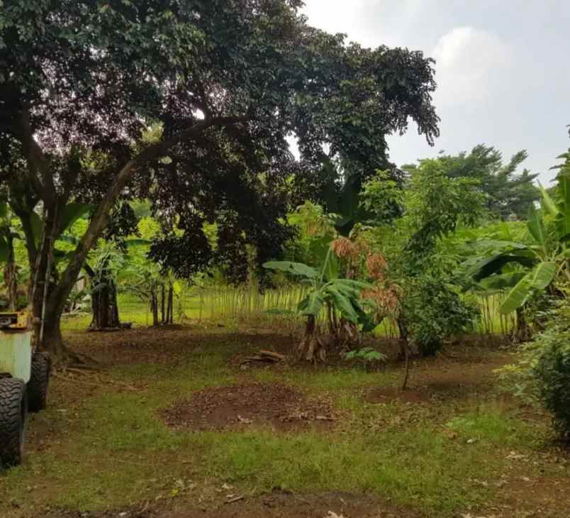 dijual tanah pisangan kec ciputat timur