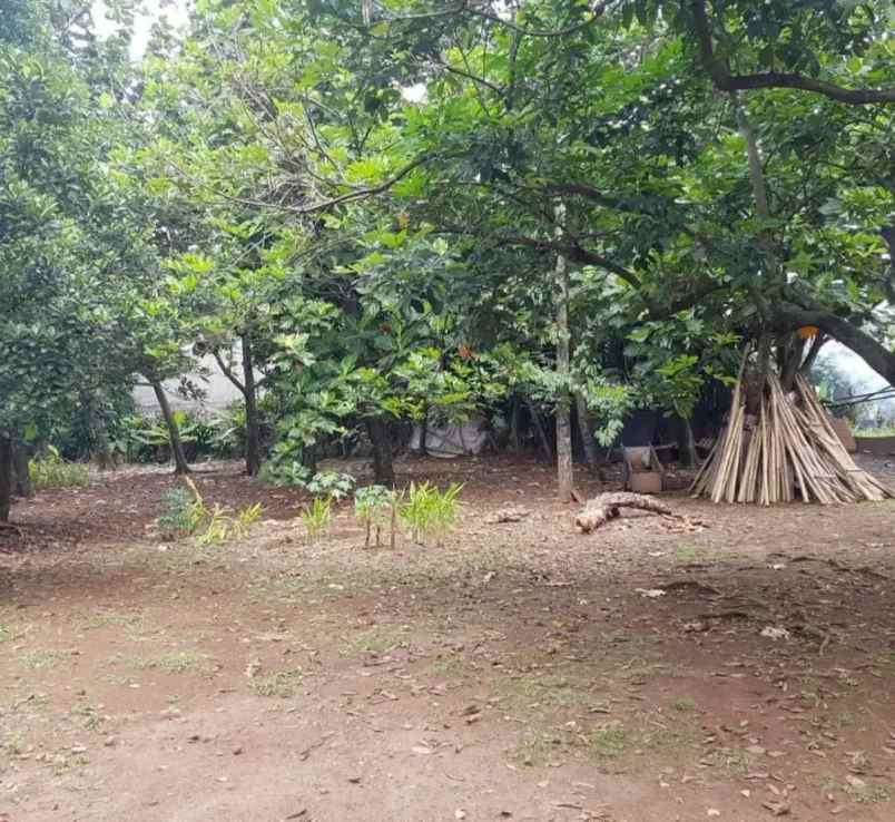 dijual tanah pisangan kec ciputat timur