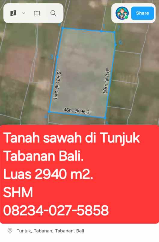 dijual tanah sawah di tunjuk tabanan bali