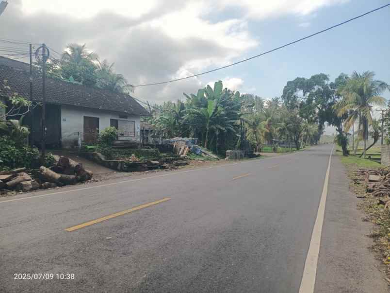dijual tanah selabih tabanan bali