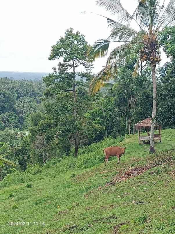 dijual tanah selemadeg tabanan bali