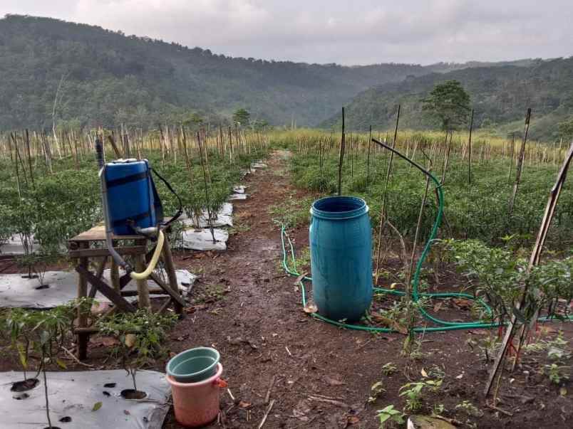 dijual tanah sidorejo