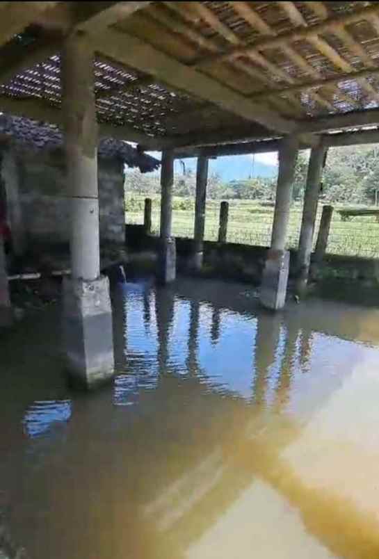dijual tanah sindangkempeng kec