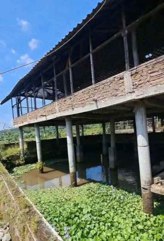 dijual tanah sindangkempeng kec