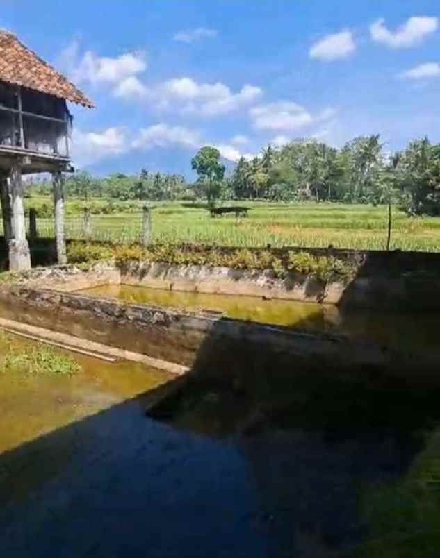 dijual tanah sindangkempeng kec