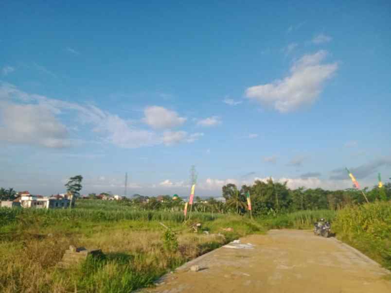 dijual tanah sitirejo