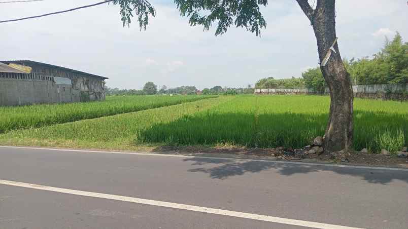 dijual tanah soreang