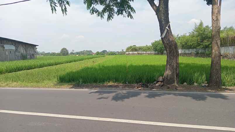 dijual tanah soreang