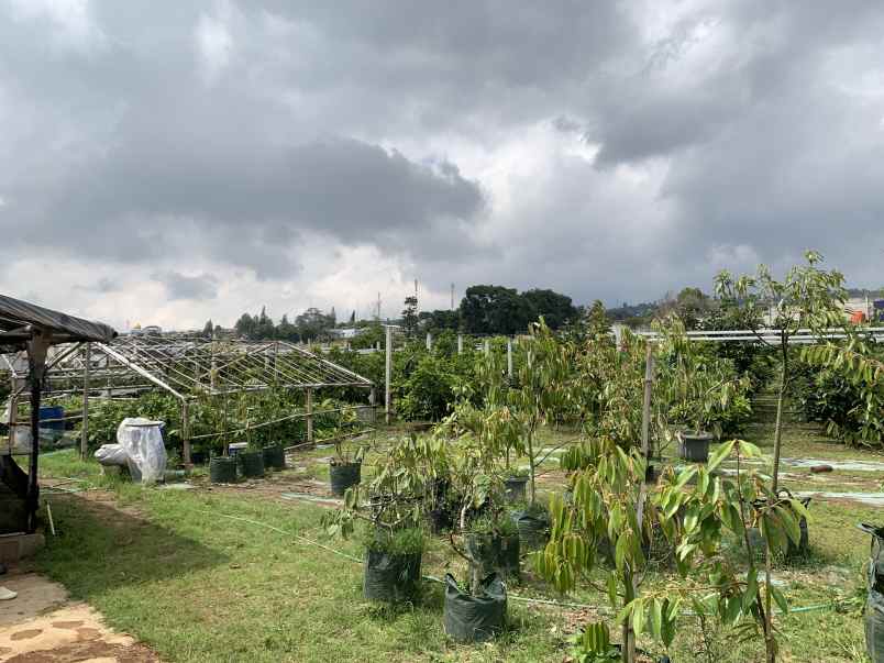 dijual tanah strategis kebun jl mekarwangi sariwangi