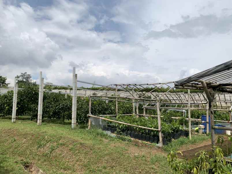 dijual tanah strategis kebun jl mekarwangi sariwangi