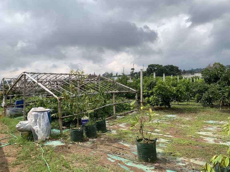 dijual tanah strategis kebun jl mekarwangi sariwangi