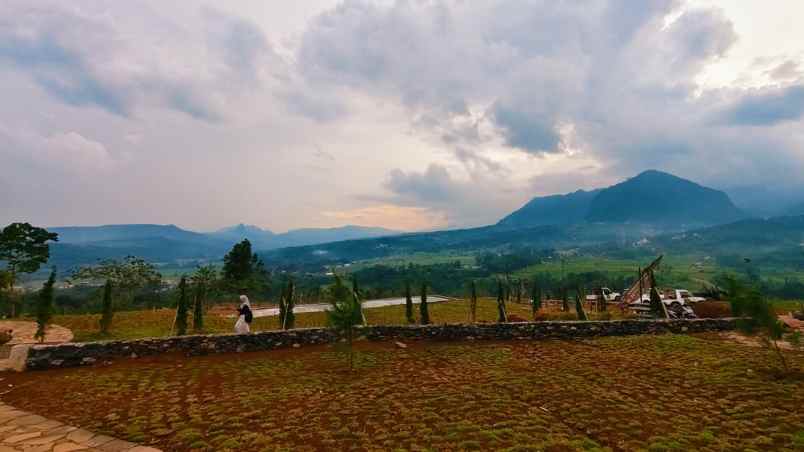 dijual tanah sukamakmur