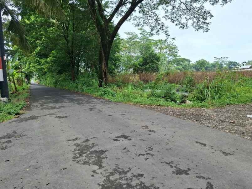 dijual tanah suko harjo sleman yogyakarta