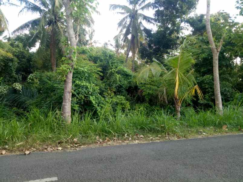 dijual tanah tamblang kubutambahan