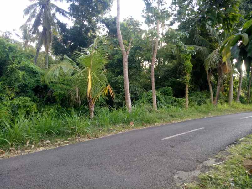 dijual tanah tamblang kubutambahan