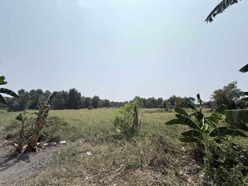 dijual tanah teluk jambe