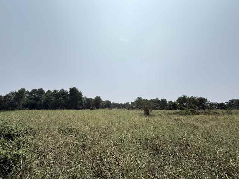 dijual tanah teluk jambe
