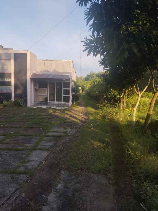 dijual tanah tirtomartani kalasan