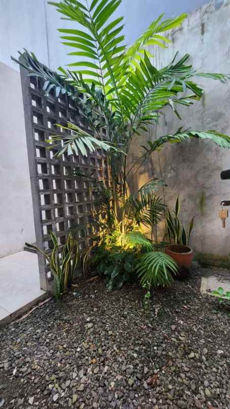 dijual townhouse modern tropis di cinangka pondok cabe