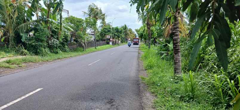 disewakan tanah 4 are di marga tabanan bali