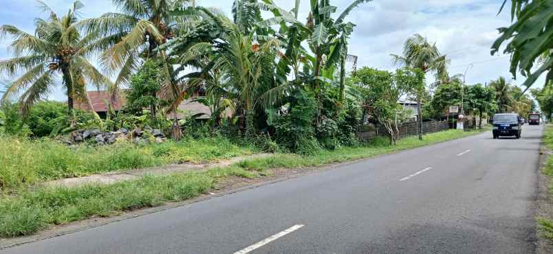 disewakan tanah 4 are di marga tabanan bali