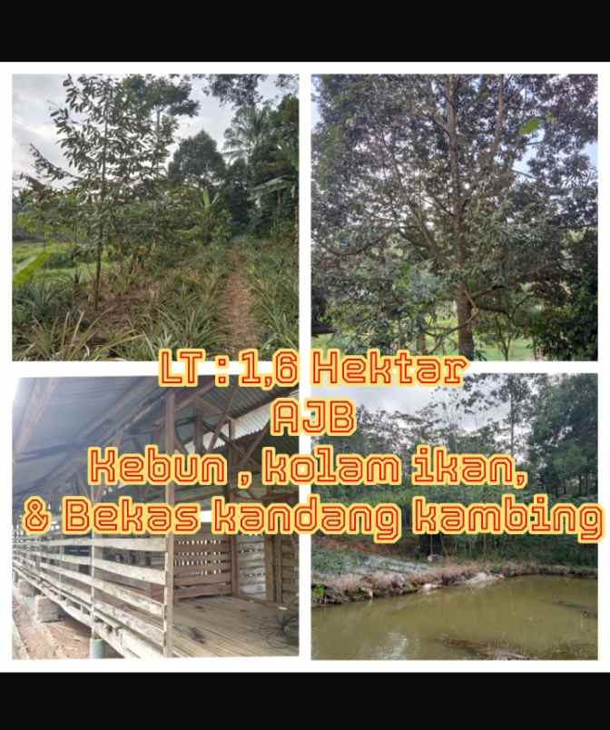 for sale lahan daerah salireja subang jawa barat