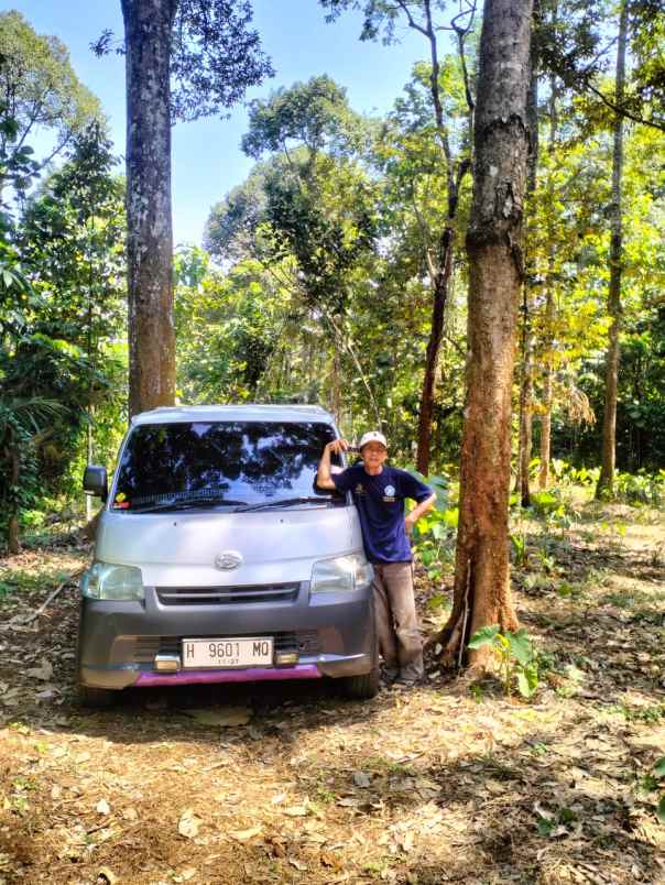 jual kebun duren murah semarang kota