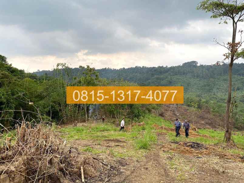 jual tanah di sukamakmur jonggol 50000m2 47c2c2