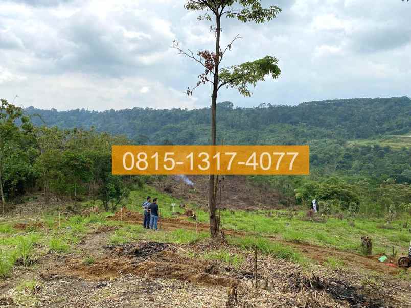 jual tanah di sukamakmur jonggol 50000m2 47c2c2