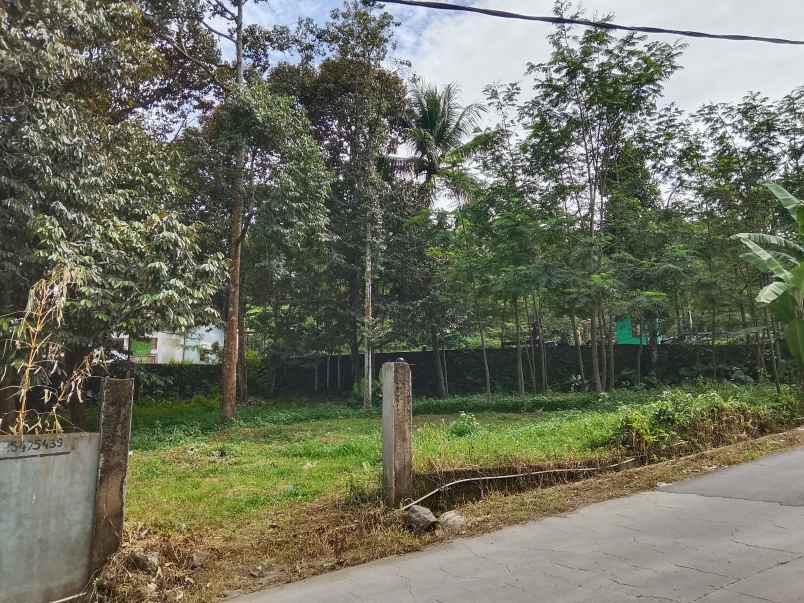 jual tanah strategis jalan cagak subang