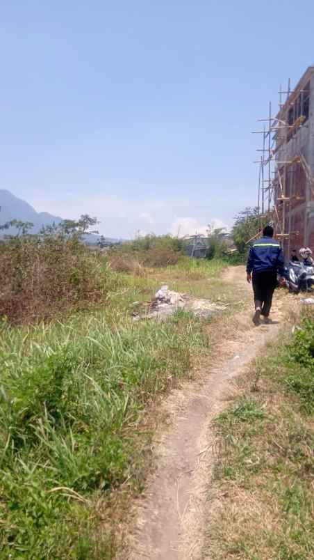 kebun jeruk murah super strategis di junrejo kota batu