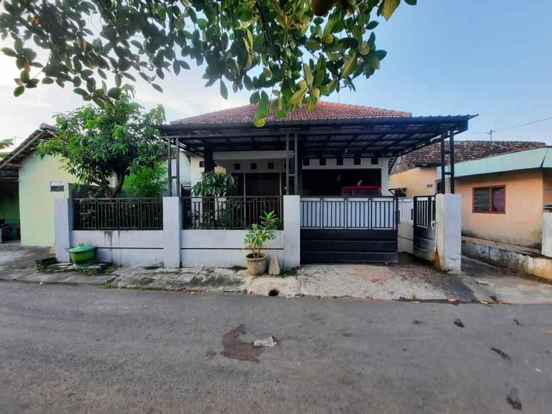 rumah bogo