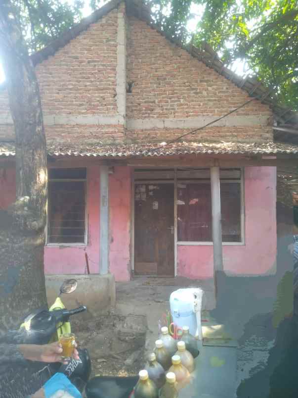 rumah kampung murah apa adanya