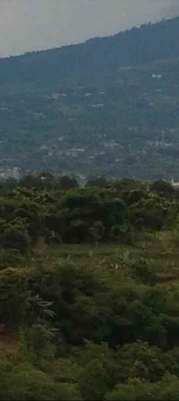 rumah kebun 600jt di caringin kabupaten bogor